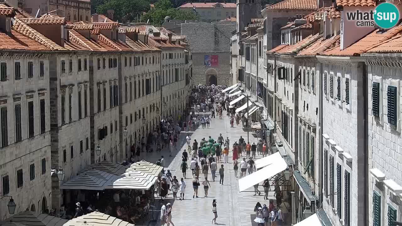 Live Webcam Dubrovnik Stradun
