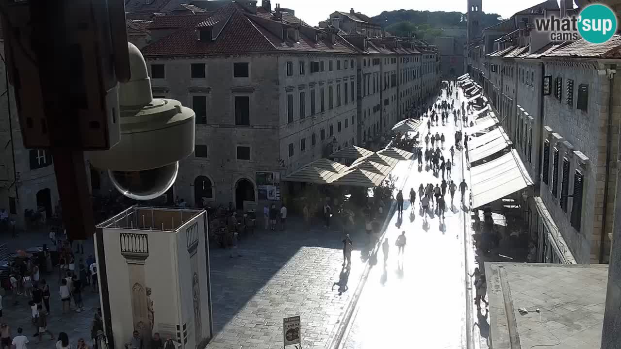 Livecam Dubrovnik Stradun