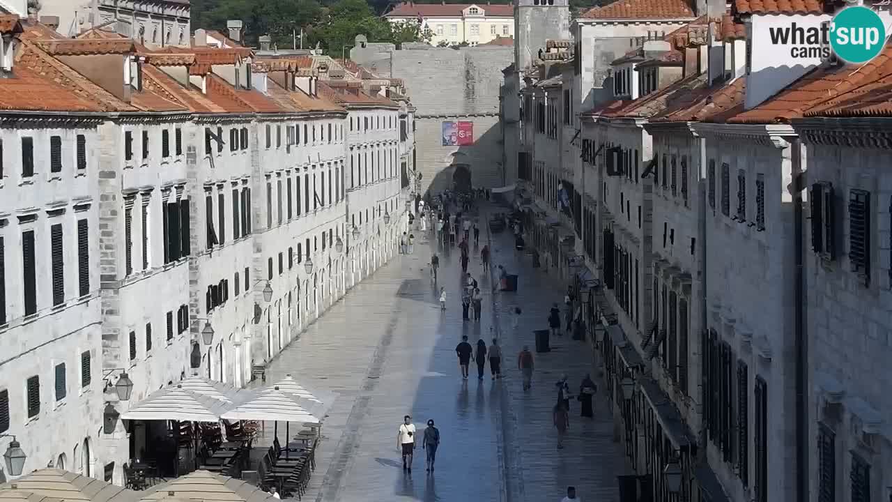 Live Webcam Dubrovnik Stradun