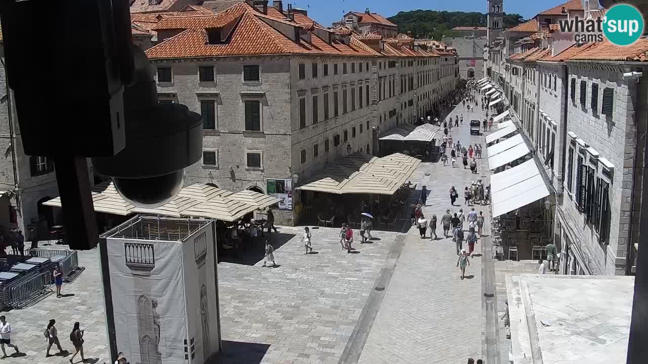 Camera en vivo Dubrovnik Stradun