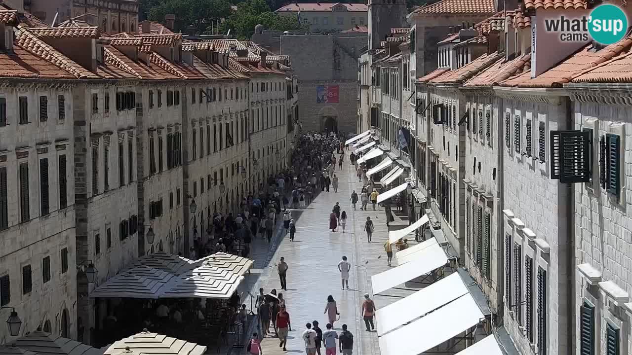Live Webcam Dubrovnik Stradun