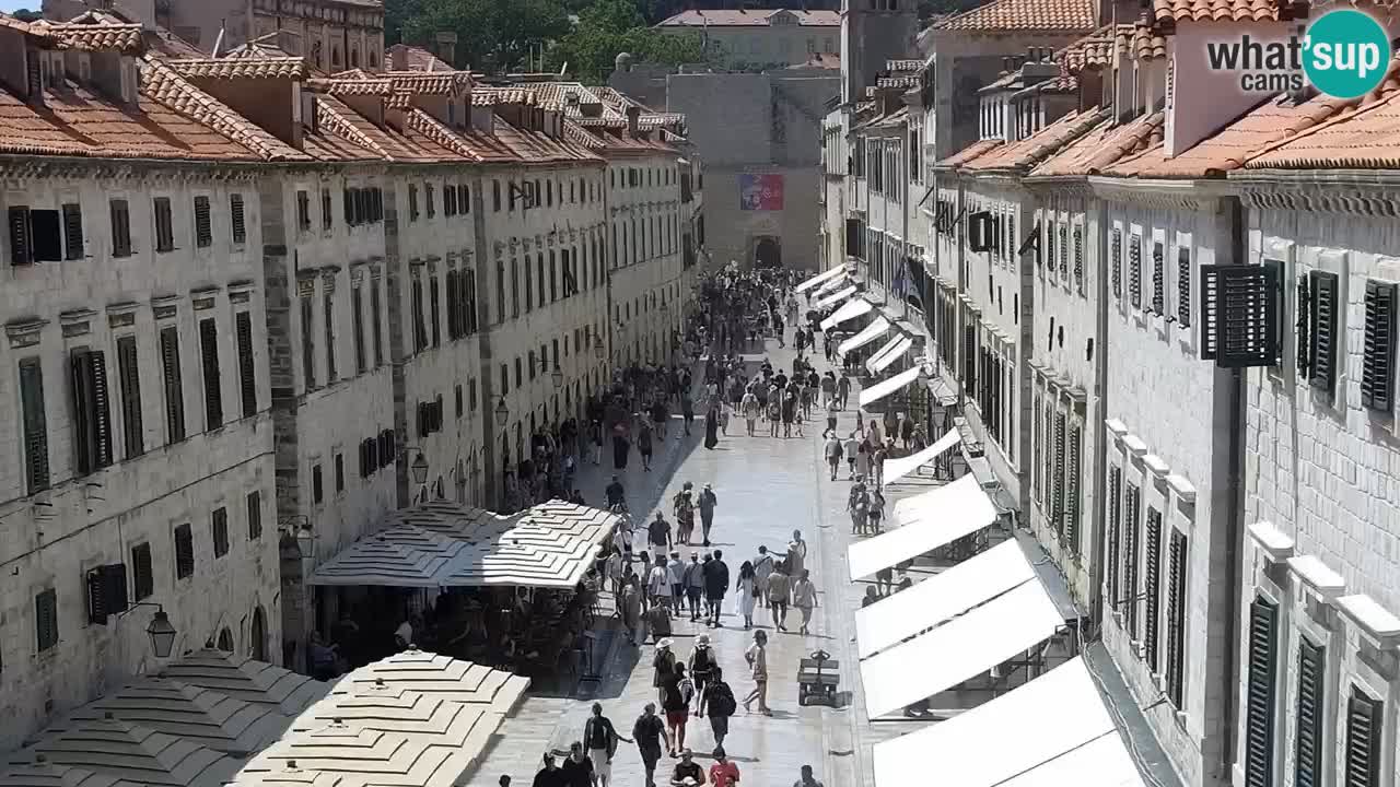 Live Webcam Dubrovnik Stradun