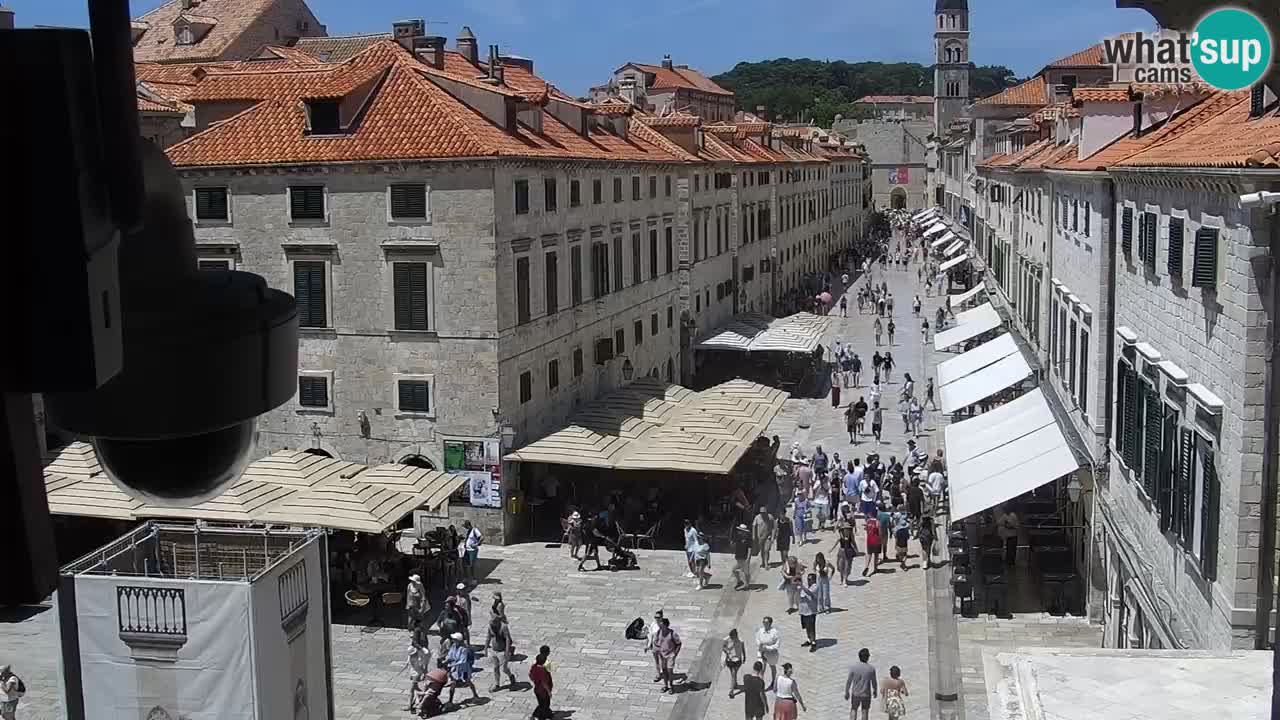 Live Webcam Dubrovnik Stradun