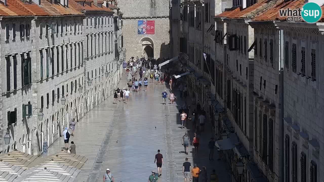 Live Webcam Dubrovnik Stradun