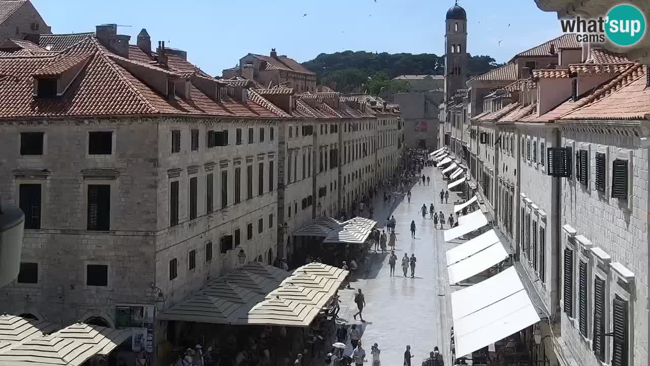 Live Webcam Dubrovnik Stradun