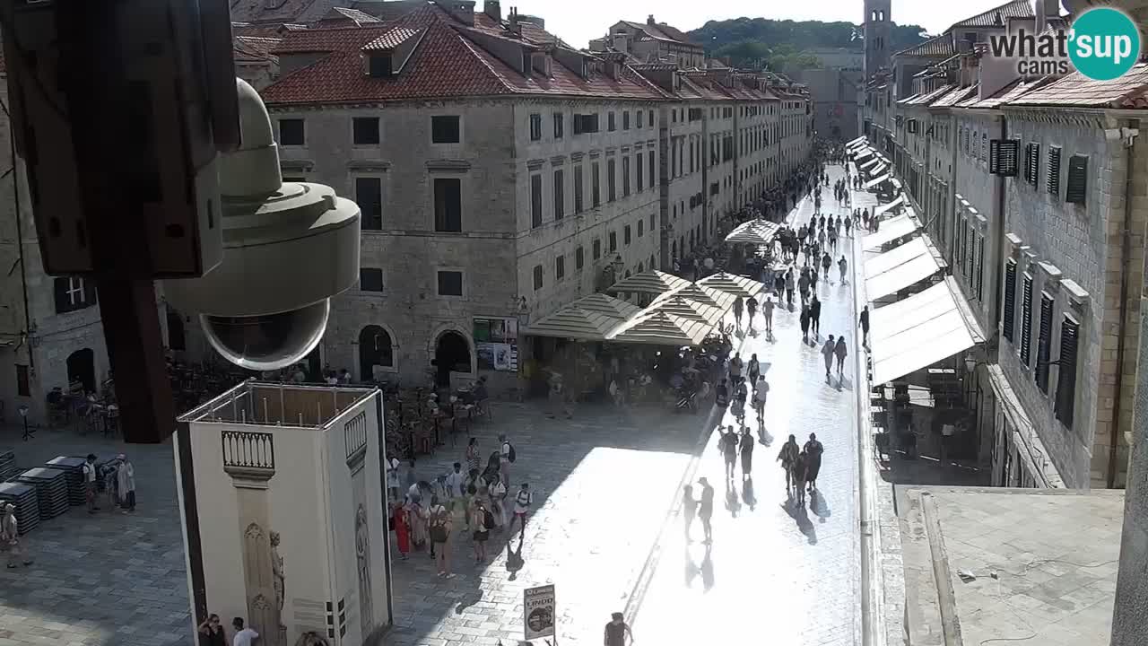 Live Webcam Dubrovnik Stradun