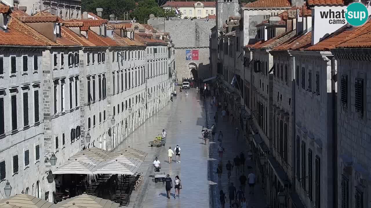 Live Webcam Dubrovnik Stradun