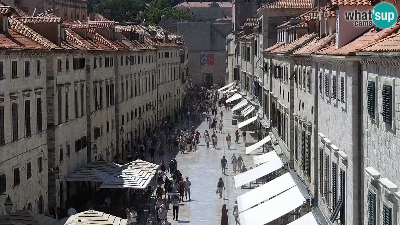 Camera en vivo Dubrovnik Stradun