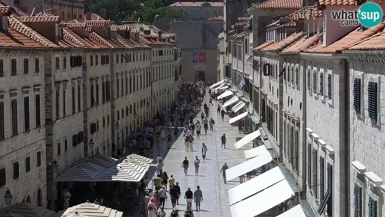Livecam Dubrovnik Stradun