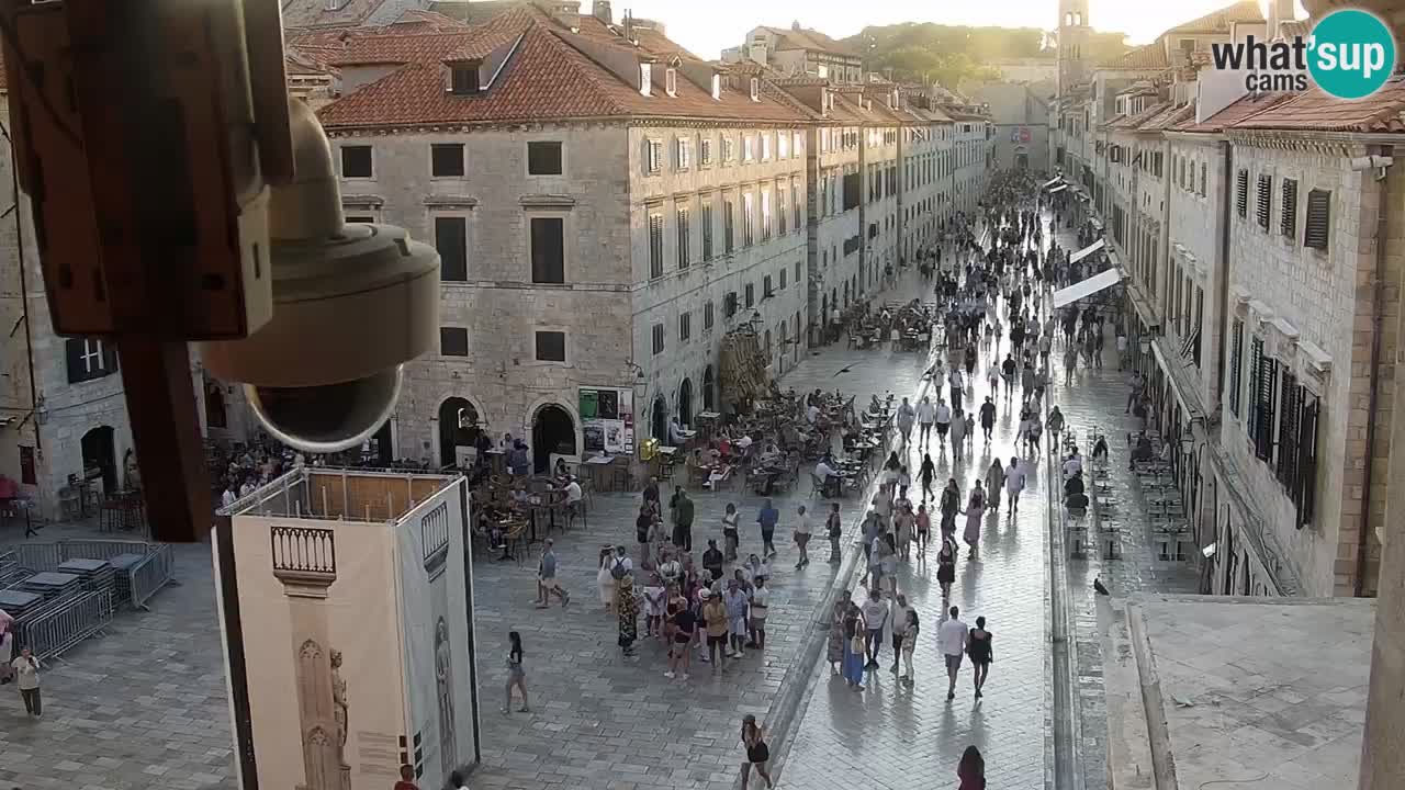 Camera en vivo Dubrovnik Stradun