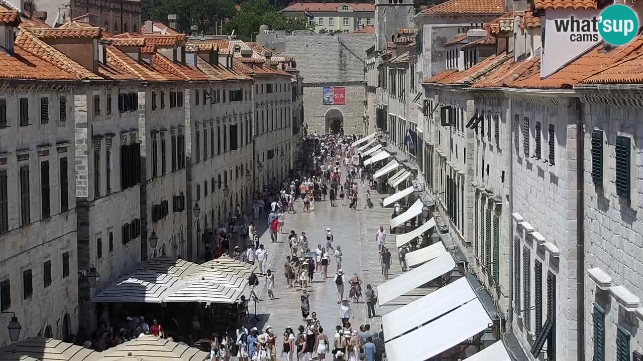 Live Webcam Dubrovnik Stradun