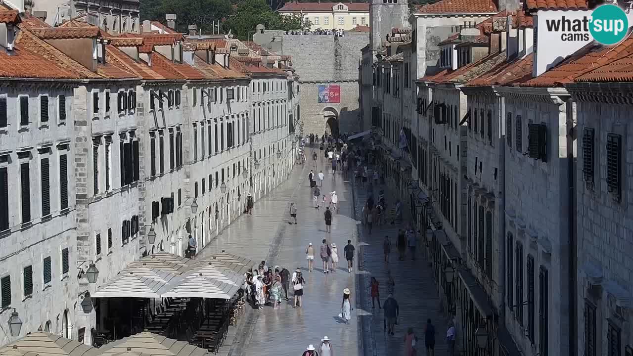 Camera en vivo Dubrovnik Stradun