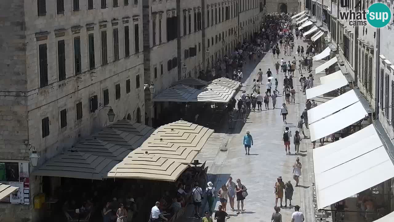 Live Webcam Dubrovnik Stradun