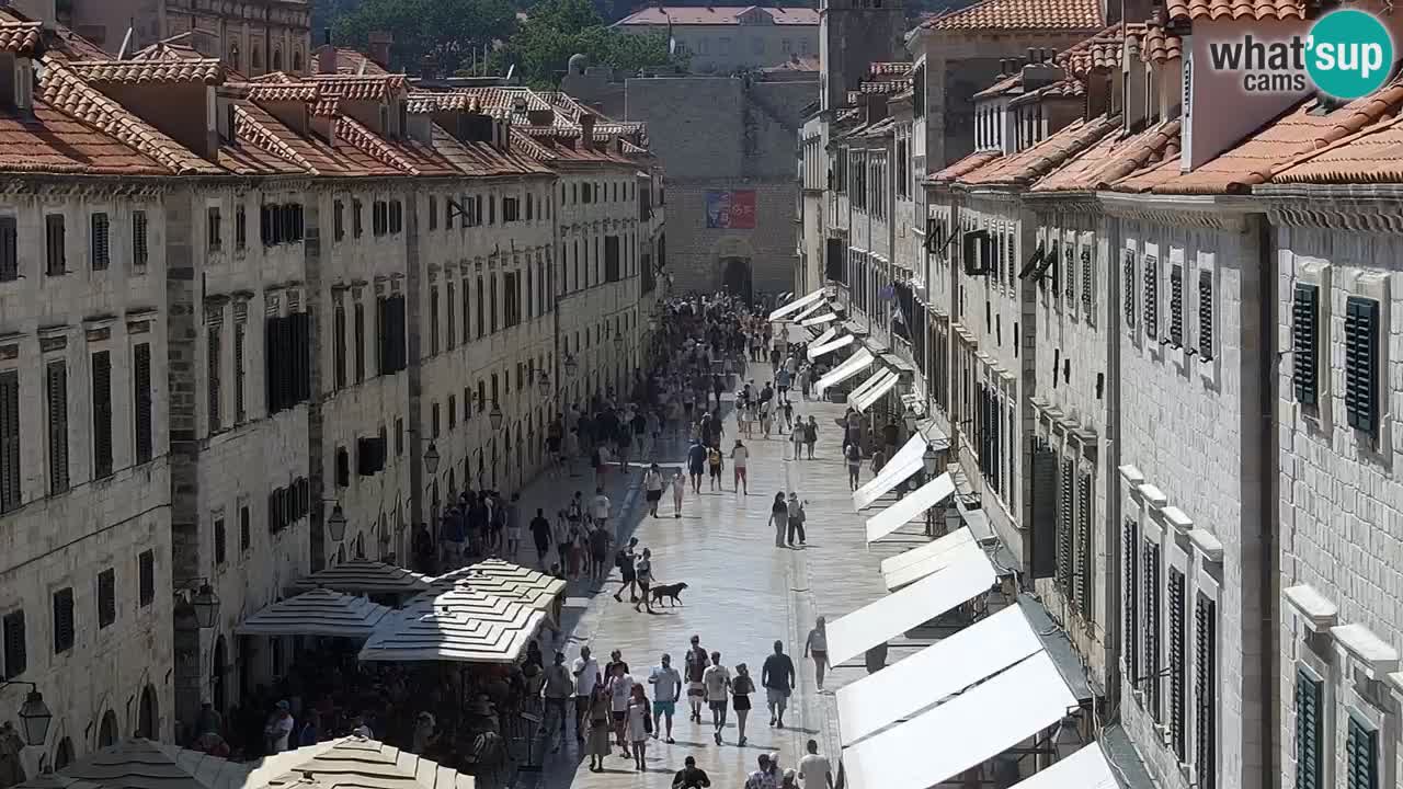 Camera en vivo Dubrovnik Stradun