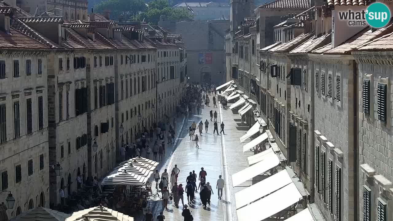Livecam Dubrovnik Stradun