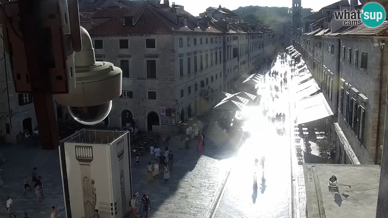 Livecam Dubrovnik Stradun