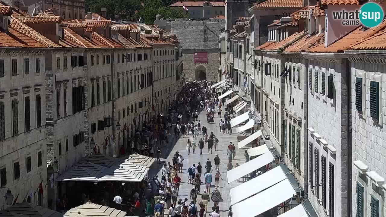 Live Webcam Dubrovnik Stradun