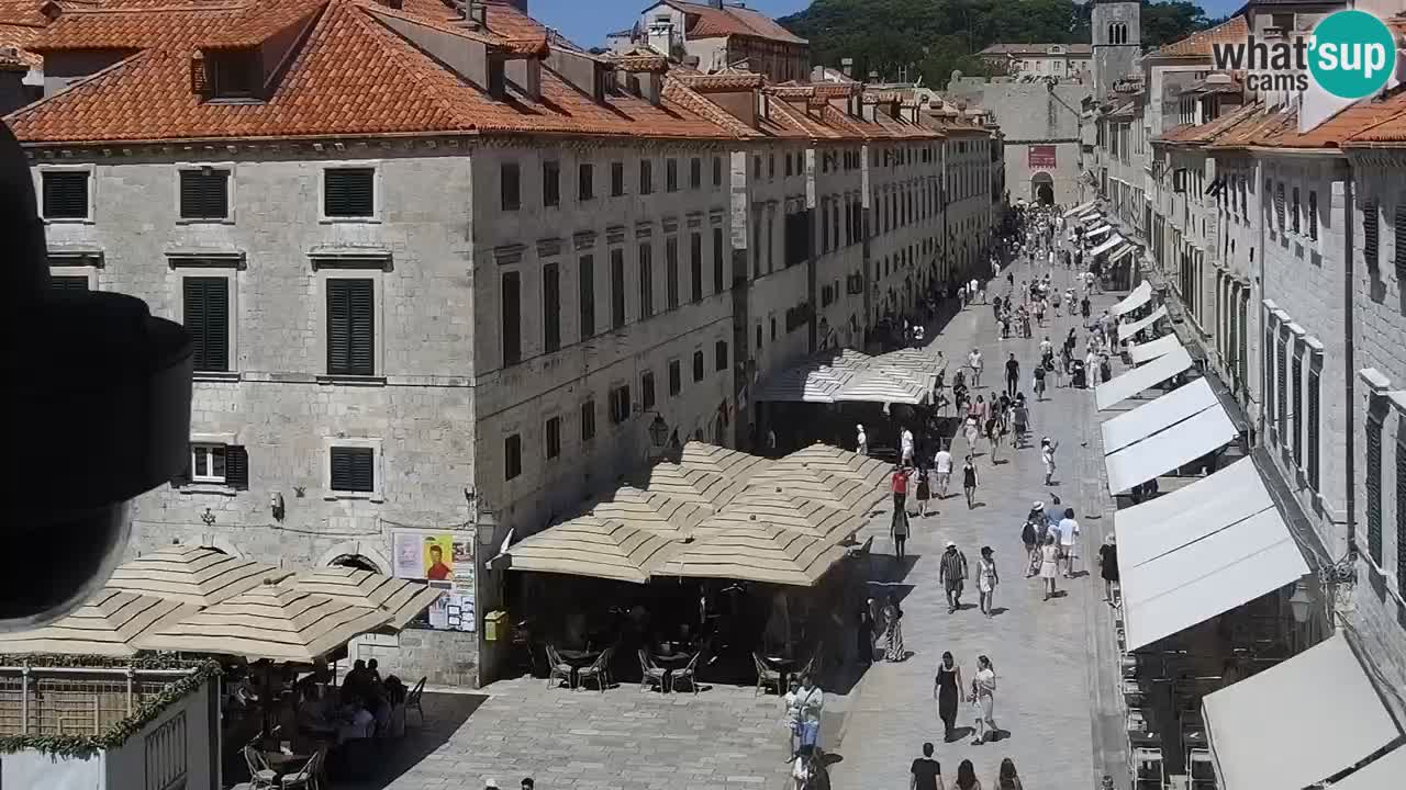 Camera en vivo Dubrovnik Stradun