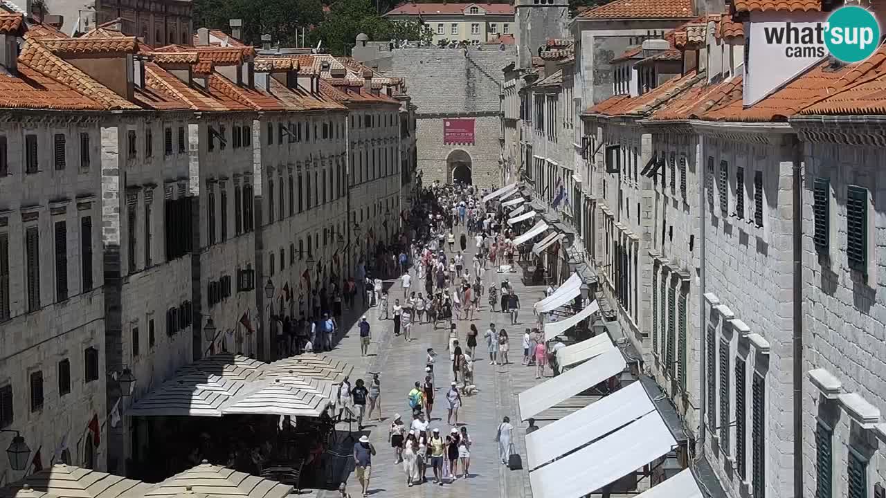 Camera en vivo Dubrovnik Stradun