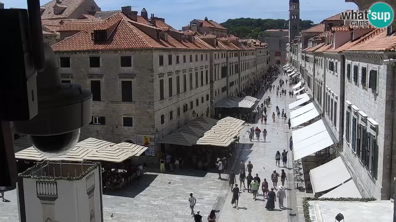 Livecam Dubrovnik Stradun