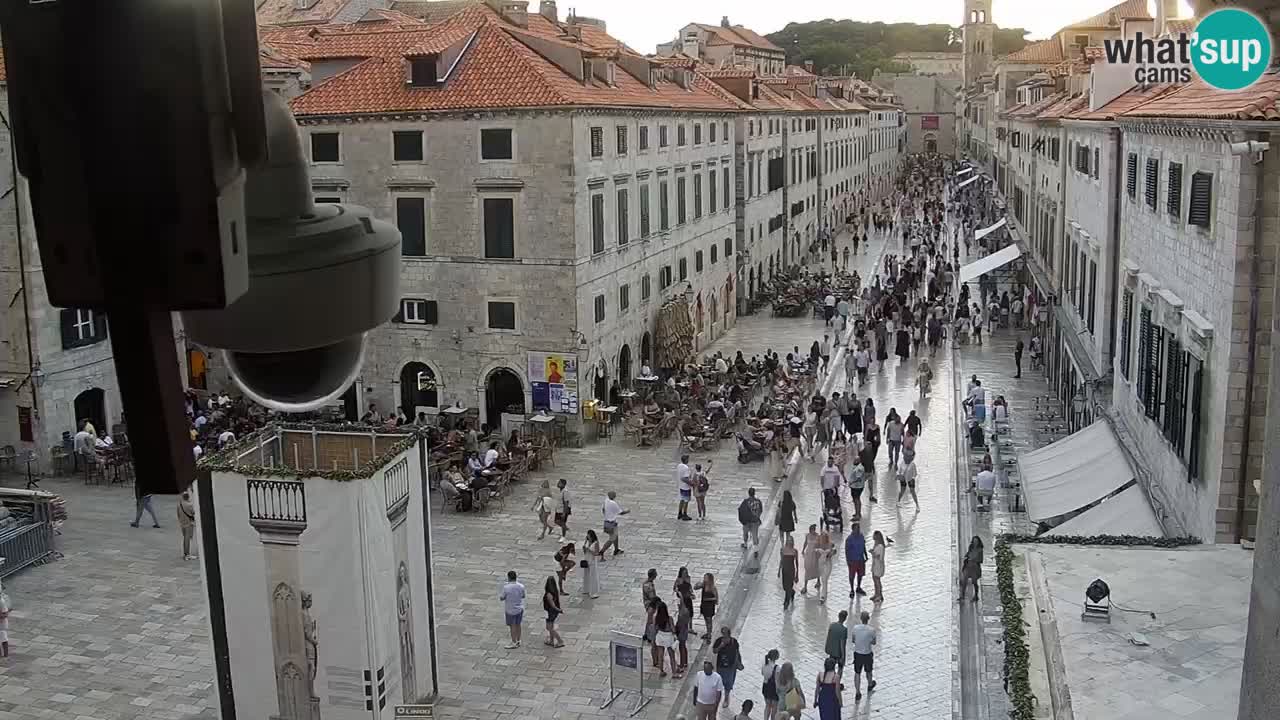 Livecam Dubrovnik Stradun