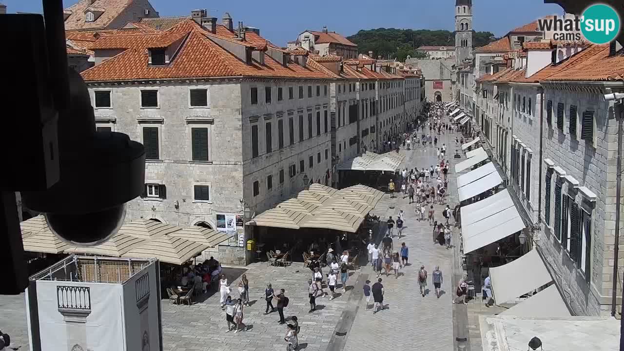 Webcam Ragusa (Dubrovnik) Stradun