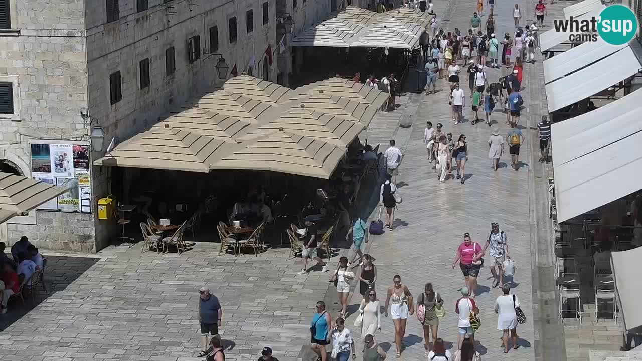 Live Webcam Dubrovnik Stradun