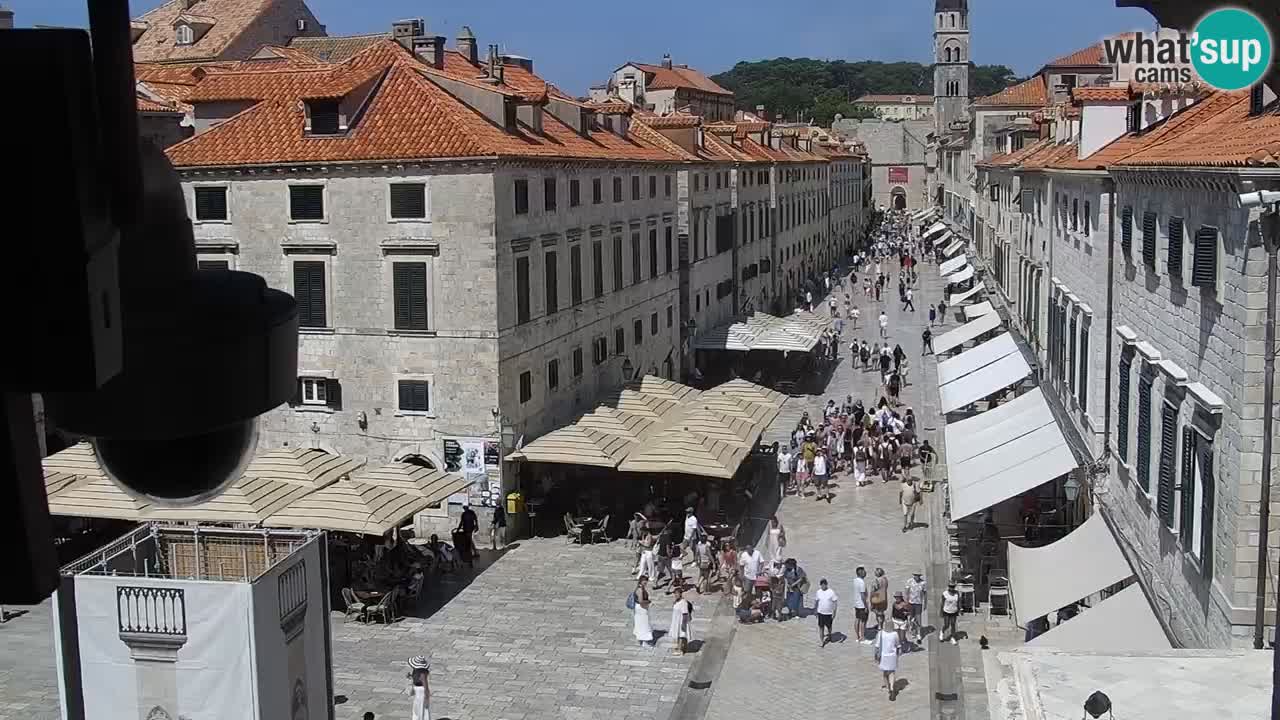 Livecam Dubrovnik Stradun