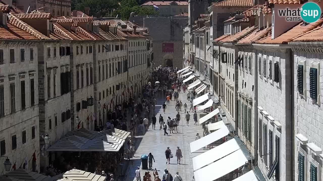 Camera en vivo Dubrovnik Stradun