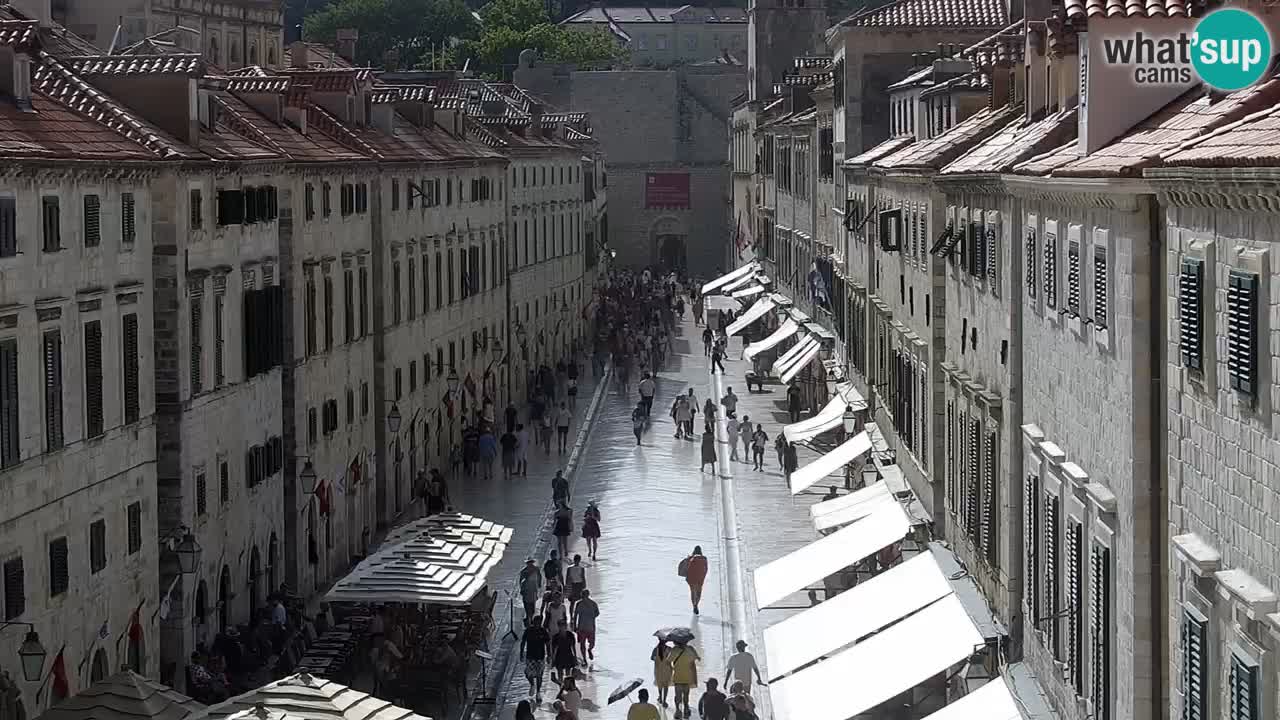 Live Webcam Dubrovnik Stradun