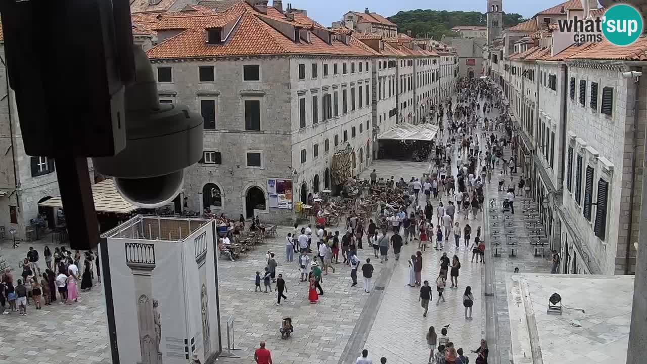 Camera en vivo Dubrovnik Stradun
