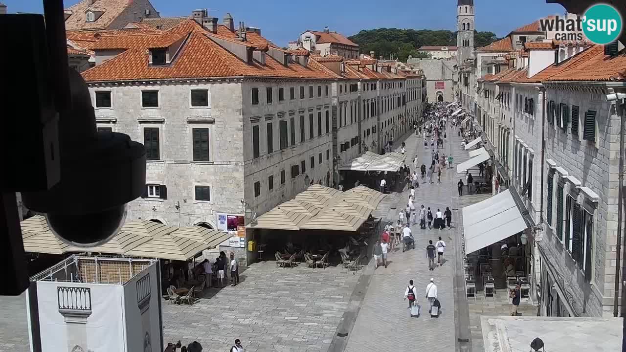 Live Webcam Dubrovnik Stradun