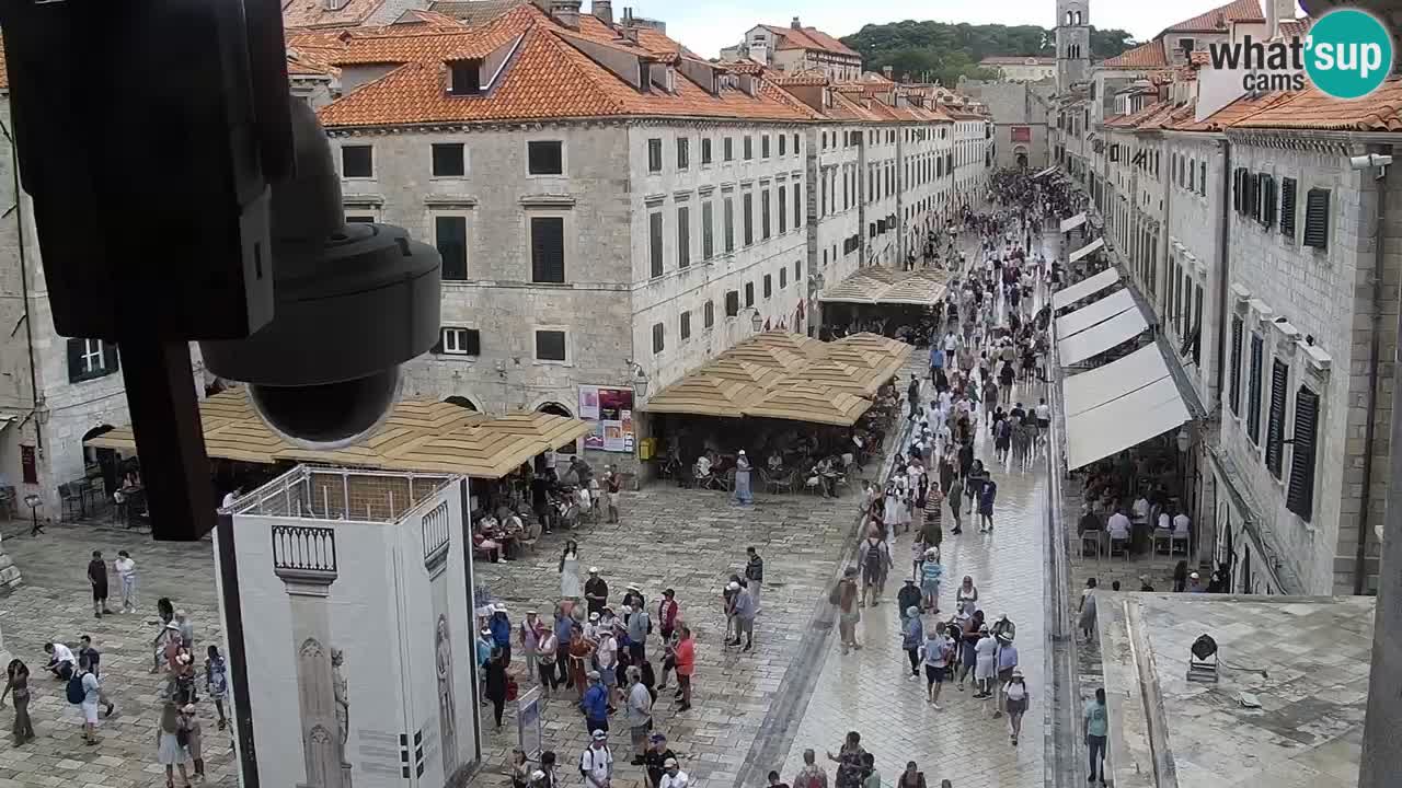 Livecam Dubrovnik Stradun