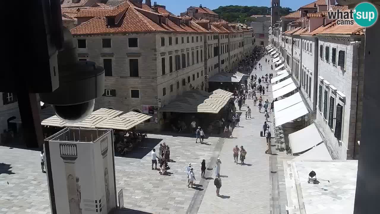 Live Webcam Dubrovnik Stradun