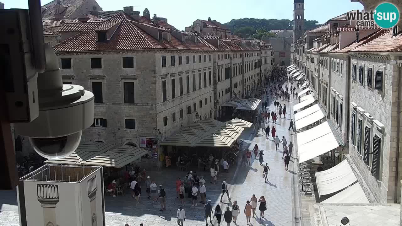 Livecam Dubrovnik Stradun