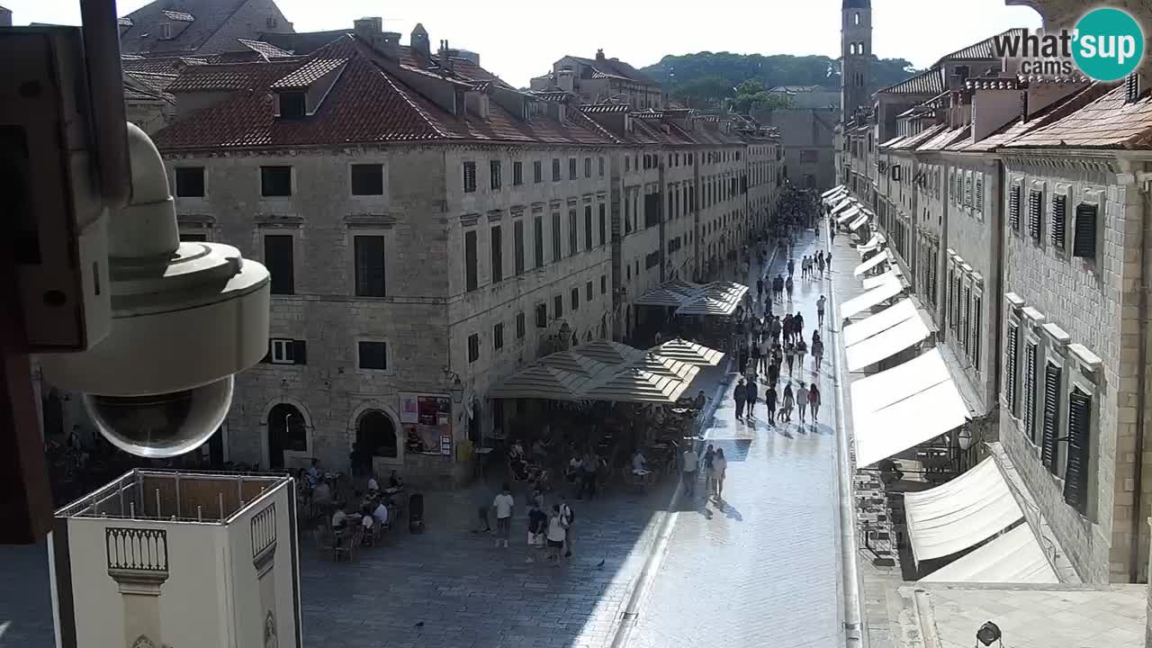 Livecam Dubrovnik Stradun