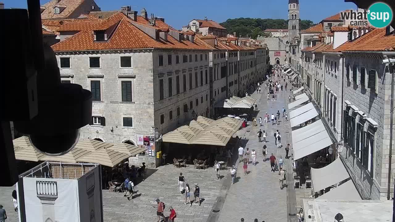 Live Webcam Dubrovnik Stradun