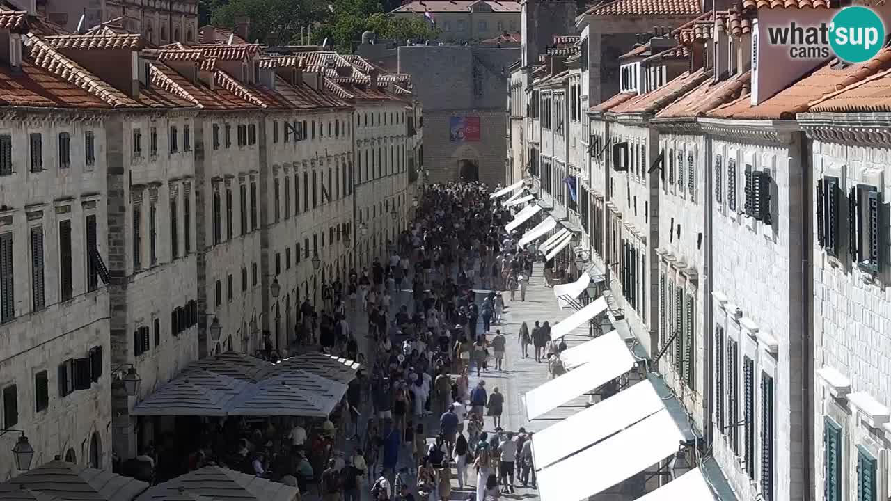 Livecam Dubrovnik Stradun