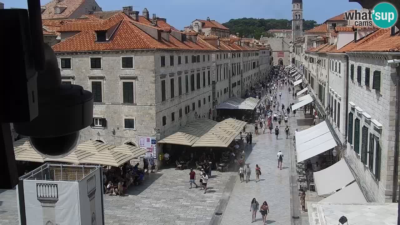 Live Webcam Dubrovnik Stradun