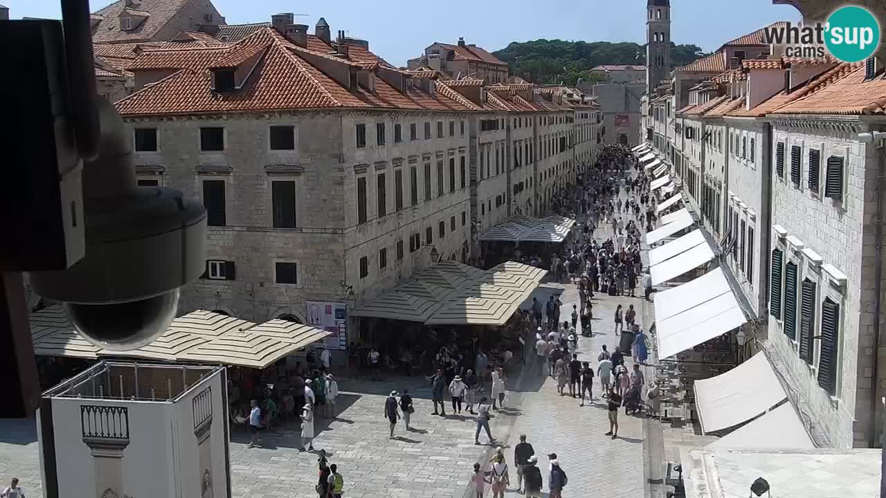 Live Webcam Dubrovnik Stradun