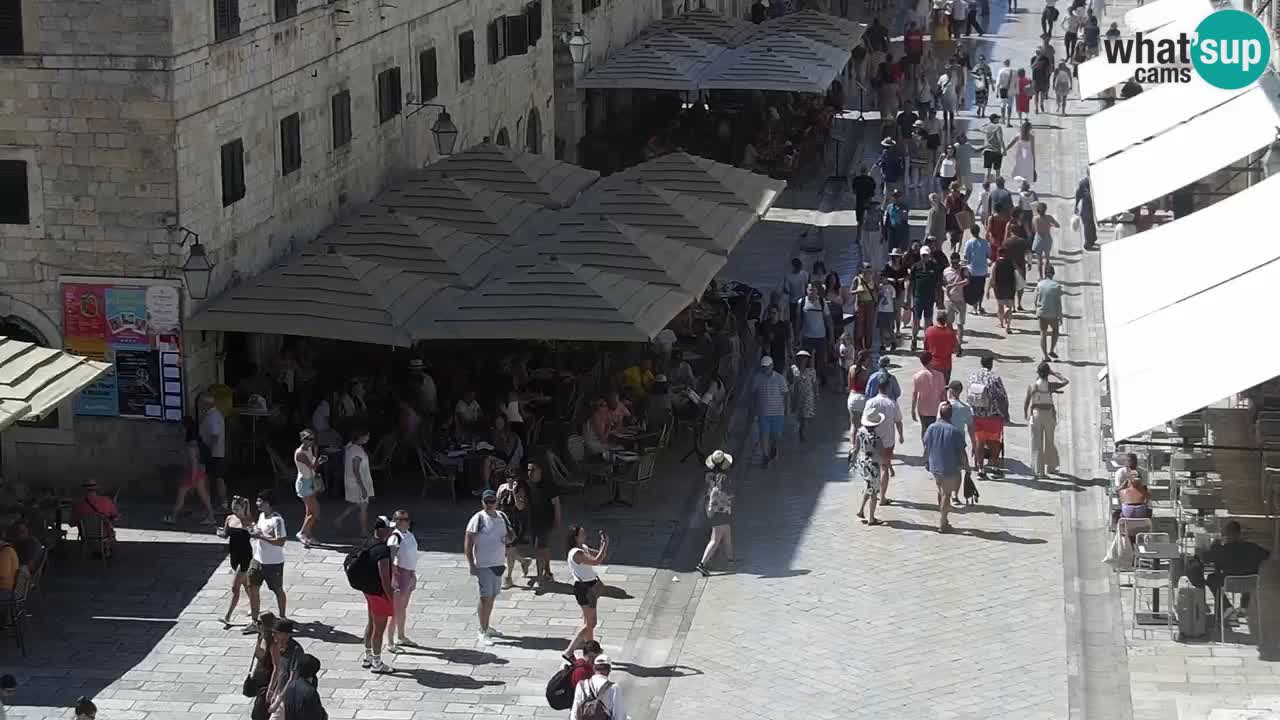 Livecam Dubrovnik Stradun