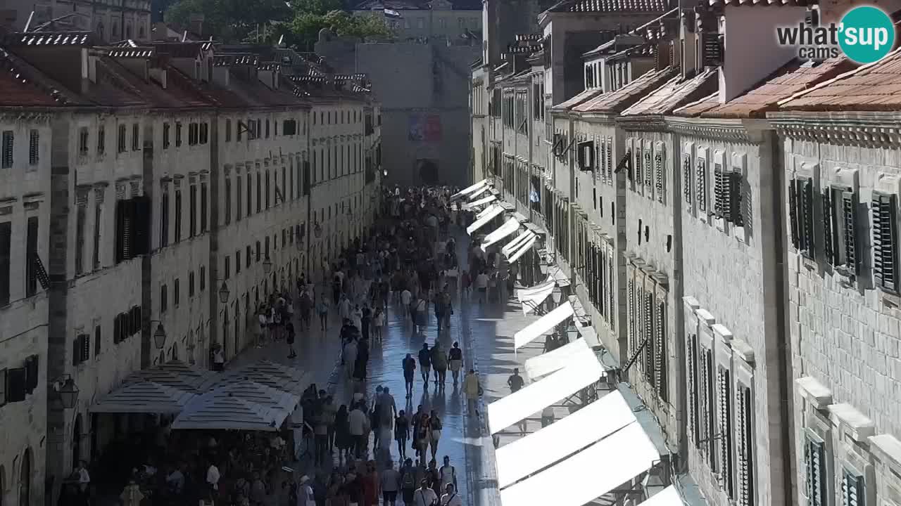Livecam Dubrovnik Stradun