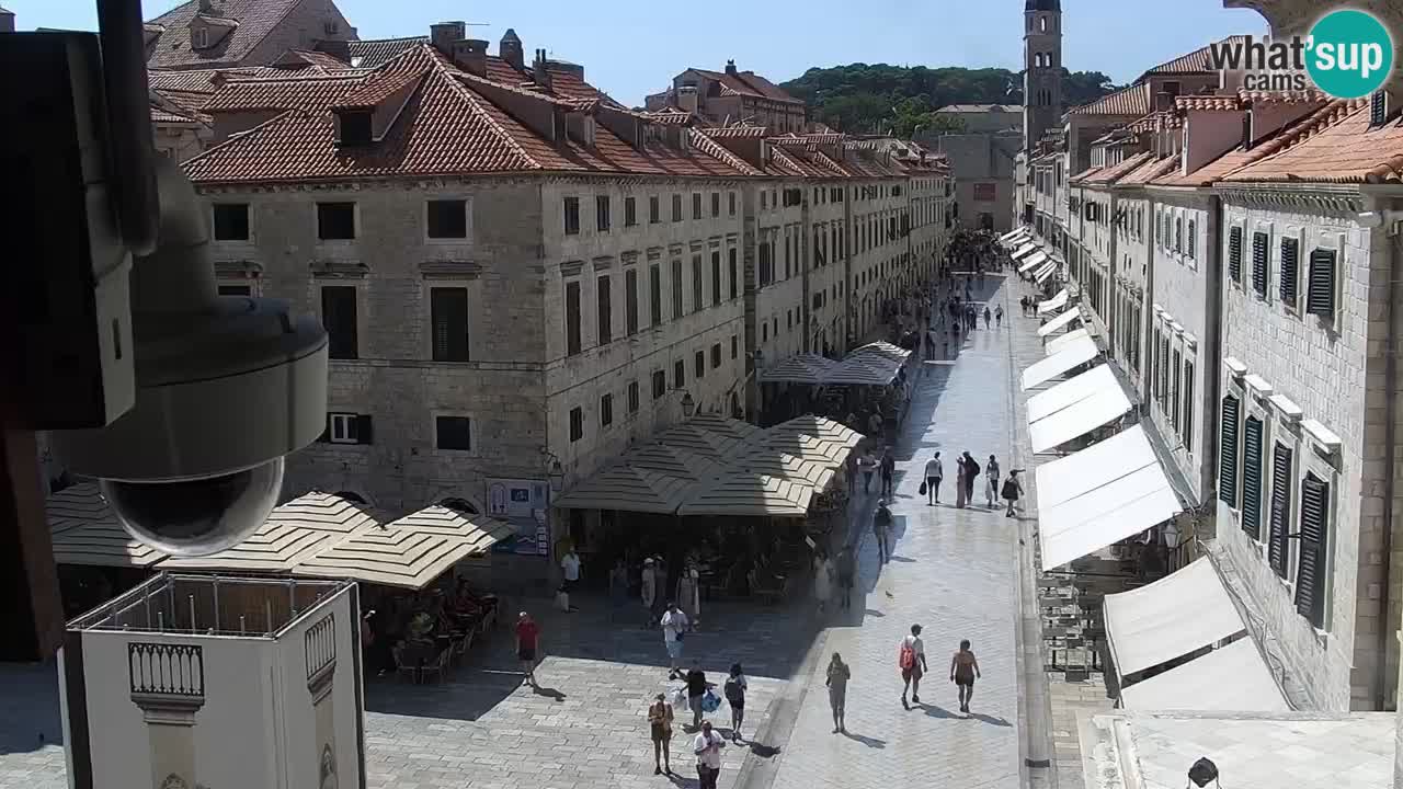 Livecam Dubrovnik Stradun