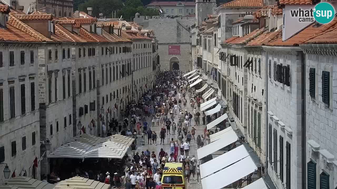 Camera en vivo Dubrovnik Stradun