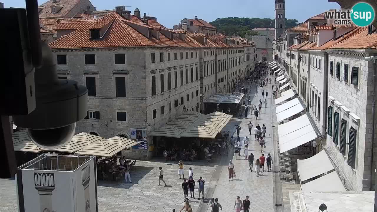 Livecam Dubrovnik Stradun