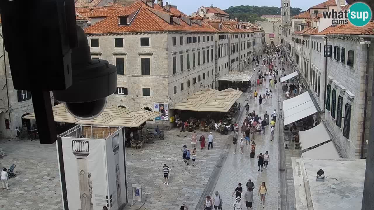 Camera en vivo Dubrovnik Stradun