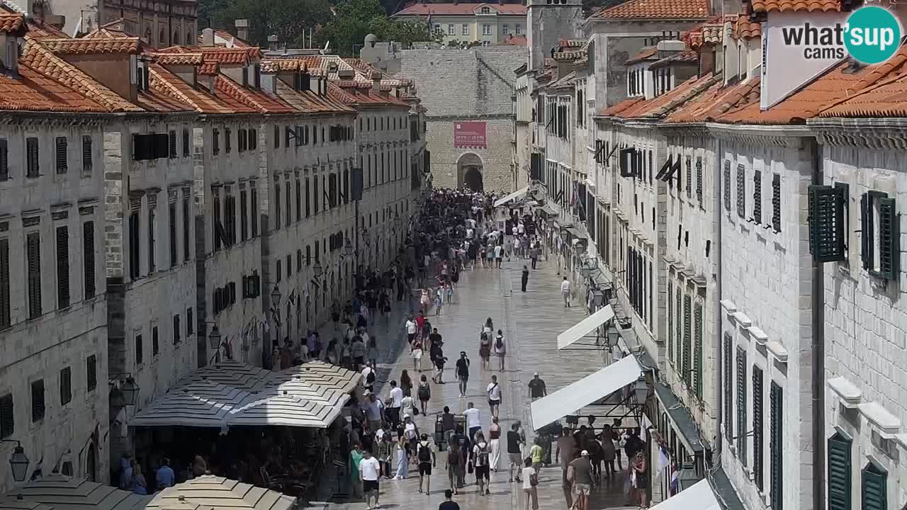 Livecam Dubrovnik Stradun