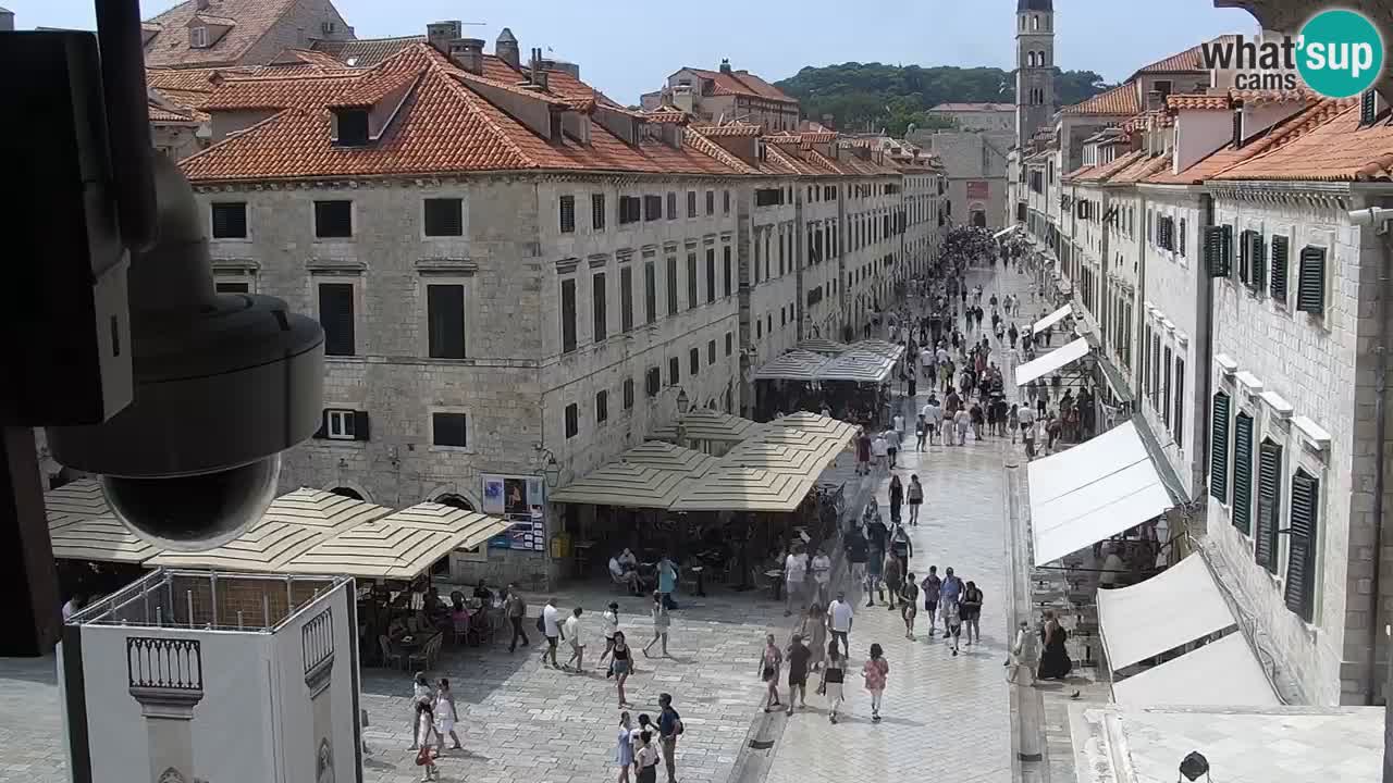 Livecam Dubrovnik Stradun