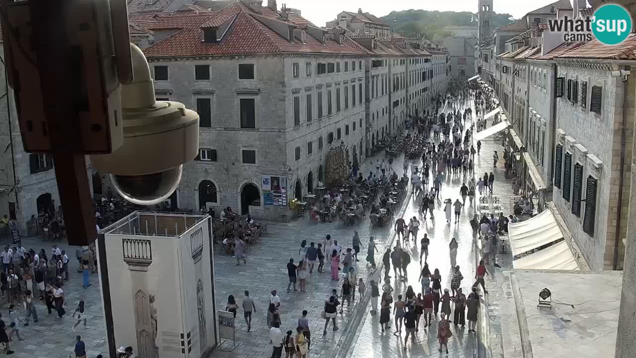 Camera en vivo Dubrovnik Stradun