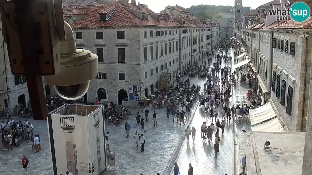 Camera en vivo Dubrovnik Stradun